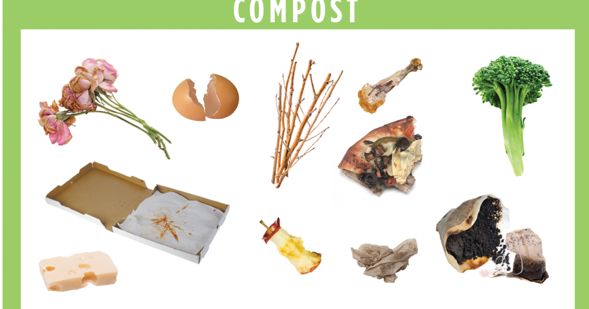 How to Make a Compost Bin Liner Out of Newspaper - Zero-Waste Chef