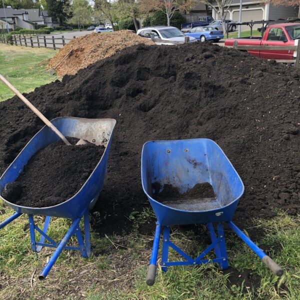 24.05.03 Community Soil compost donation 2.jpg