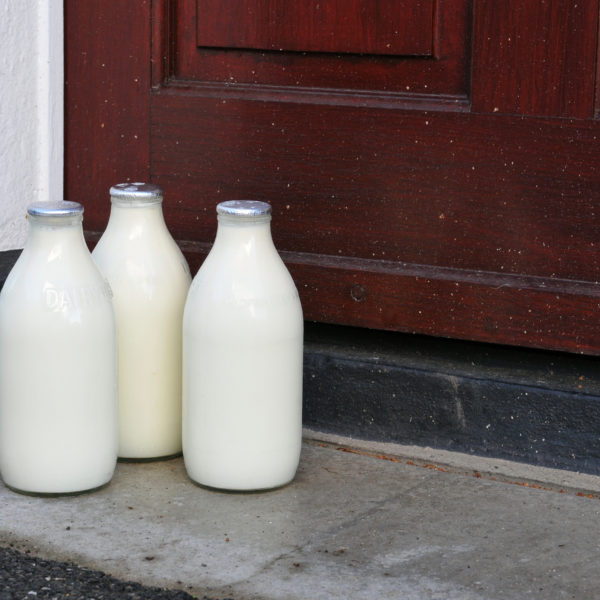 Milk-bottle